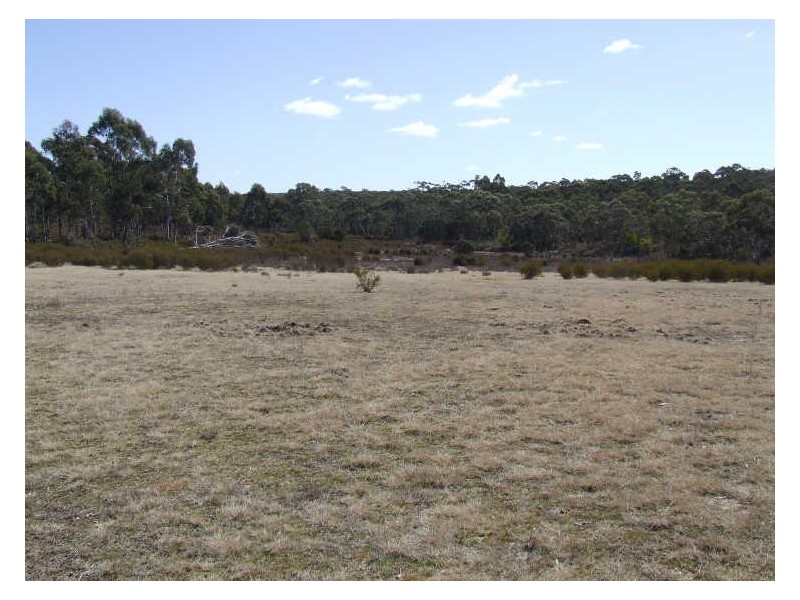 Lot 4 Oallen Ford Road, Windellama NSW 2580