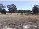 Lot 4 Oallen Ford Road, Windellama NSW 2580