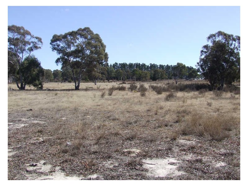 Lot 4 Oallen Ford Road, Windellama NSW 2580
