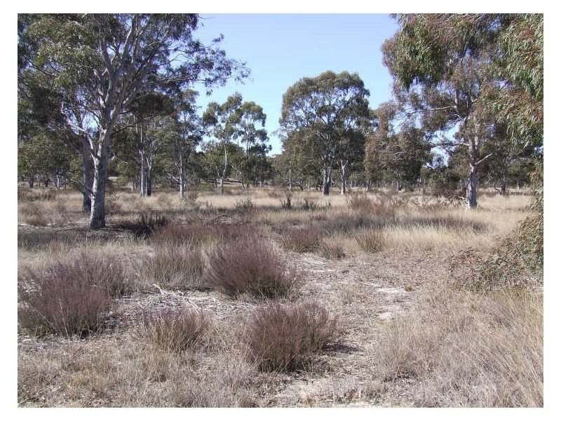 Lot 4 Oallen Ford Road, Windellama NSW 2580