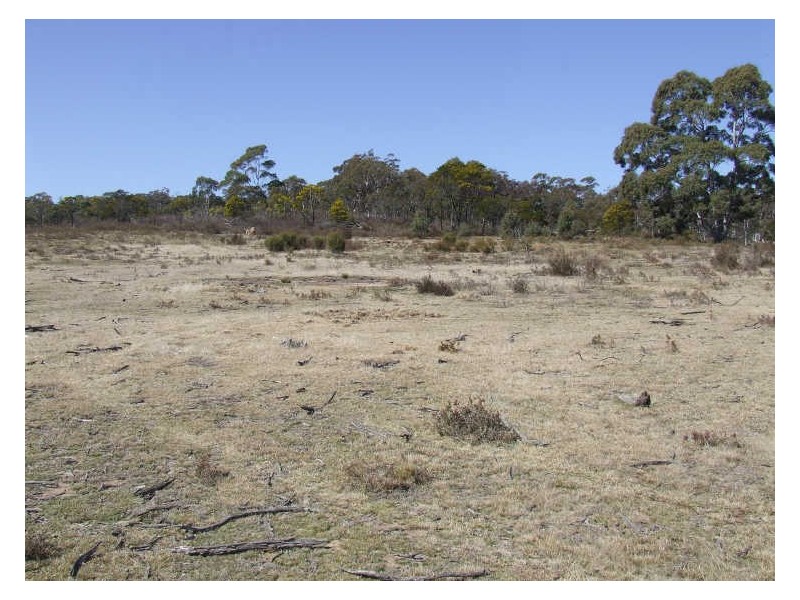 Lot 2 Oallen Ford Road, Windellama NSW 2580