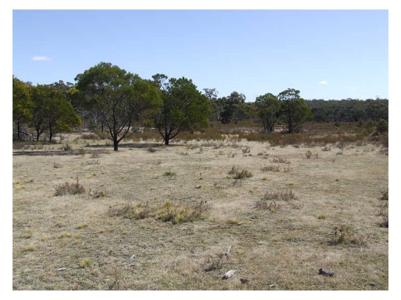 Lot 2 Oallen Ford Road, Windellama NSW 2580