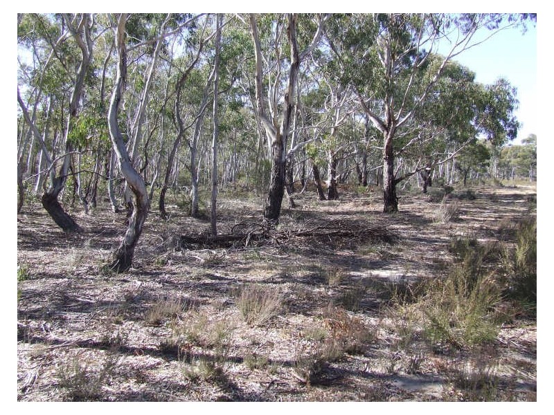 Lot 2 Oallen Ford Road, Windellama NSW 2580