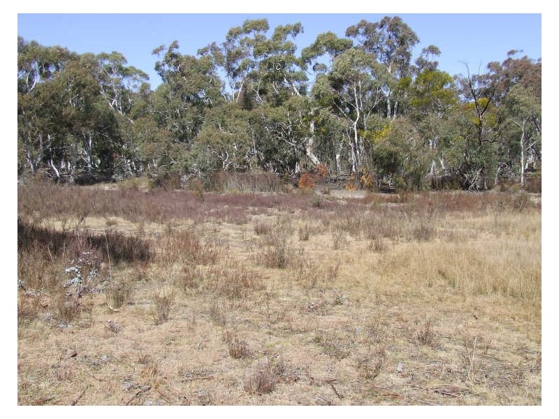 Lot 2 Oallen Ford Road, Windellama NSW 2580