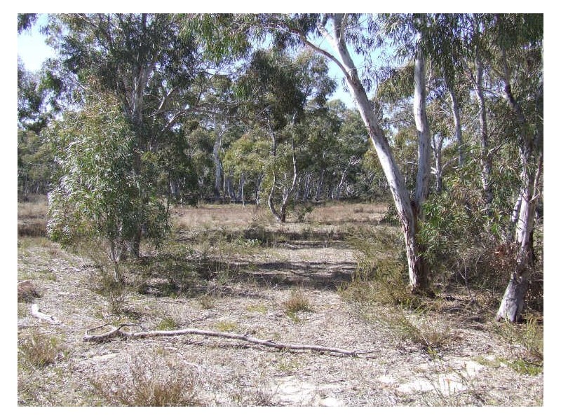 Lot 2 Oallen Ford Road, Windellama NSW 2580