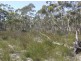 1478 Oallen Ford Road, Windellama NSW 2580