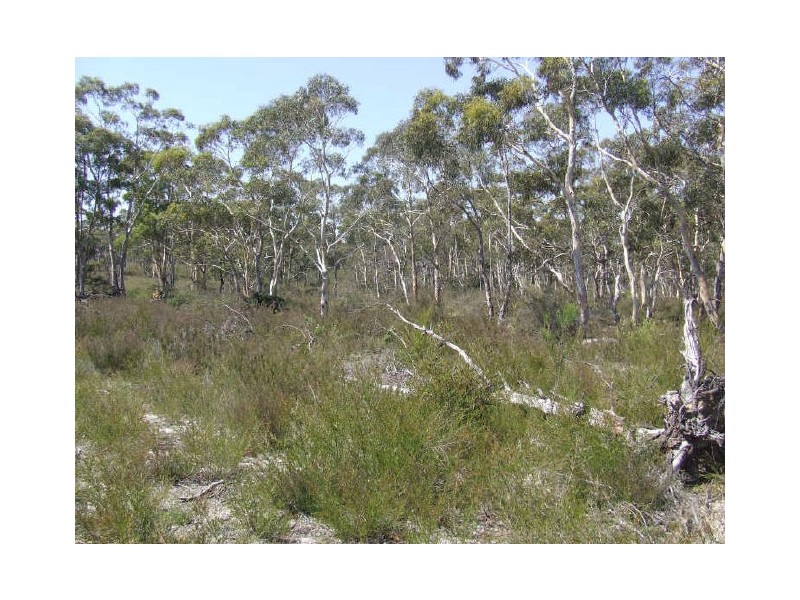 1478 Oallen Ford Road, Windellama NSW 2580