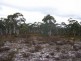 1478 Oallen Ford Road, Windellama NSW 2580