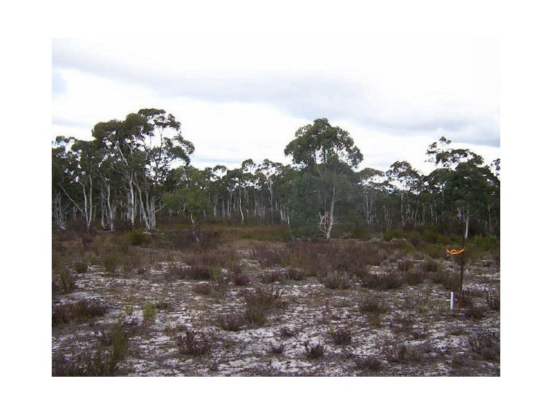 1478 Oallen Ford Road, Windellama NSW 2580