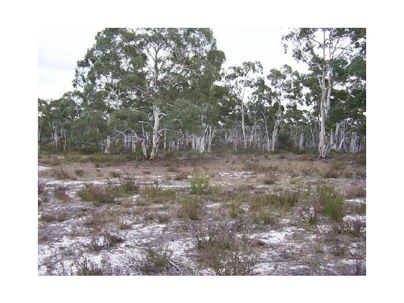 1478 Oallen Ford Road, Windellama NSW 2580