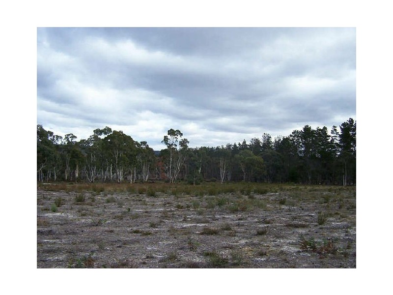1478 Oallen Ford Road, Windellama NSW 2580