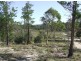2191 Oallen Ford Road, Windellama NSW 2580