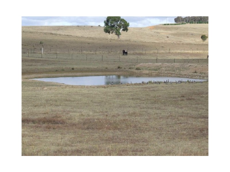 3654 Oallen Ford Road, Windellama NSW 2580