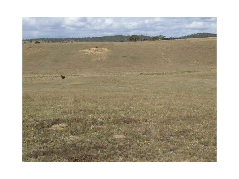 3654 Oallen Ford Road, Windellama NSW 2580