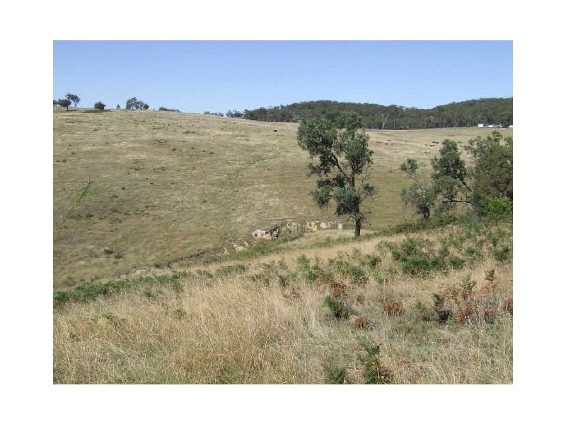 Lot 16 Mares Forest Road, Taralga NSW 2580