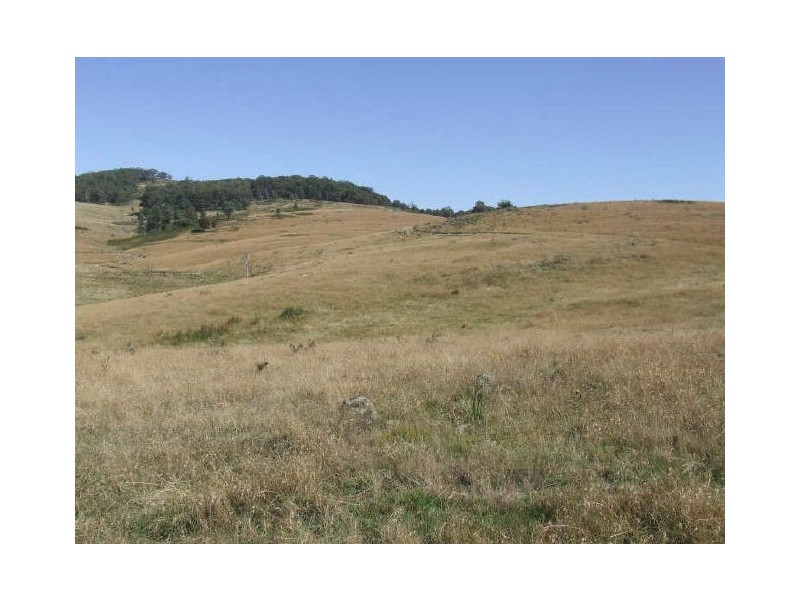 Lot 16 Mares Forest Road, Taralga NSW 2580