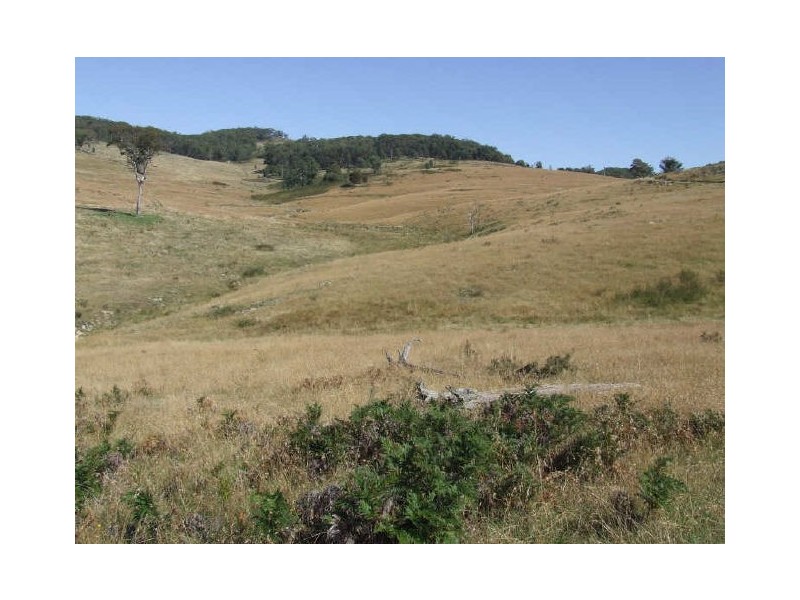 Lot 16 Mares Forest Road, Taralga NSW 2580