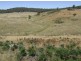 Lot 16 Mares Forest Road, Taralga NSW 2580