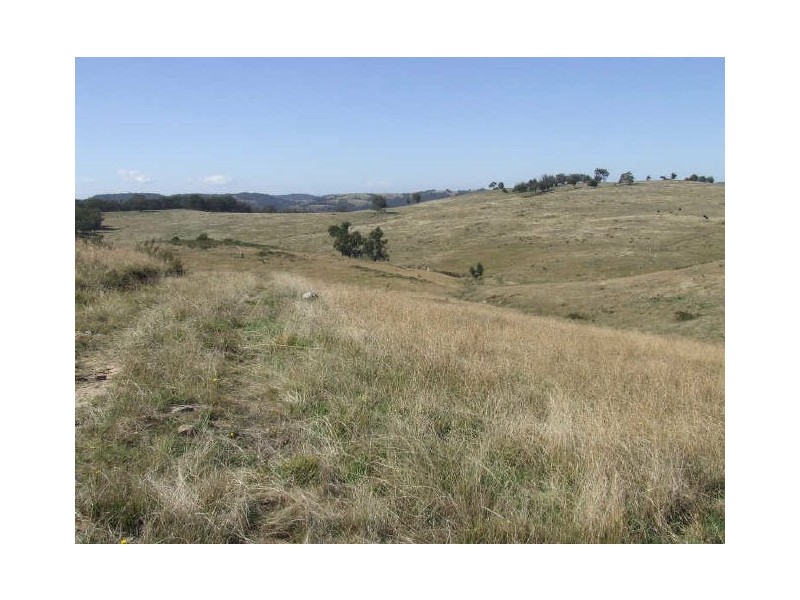 Lot 16 Mares Forest Road, Taralga NSW 2580