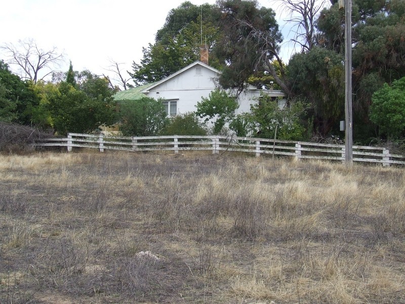 Rocky Water Hole Road, Peelwood NSW 2583
