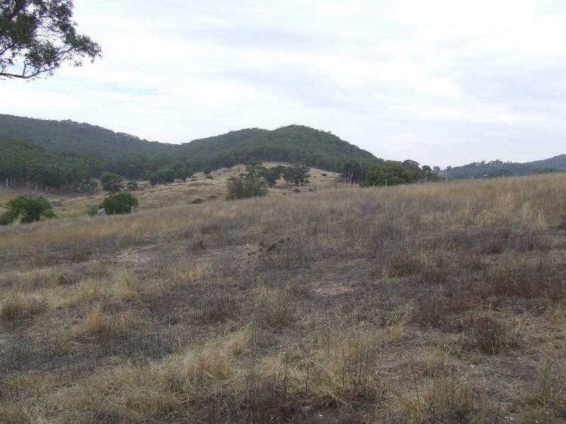 Rocky Water Hole Road, Peelwood NSW 2583
