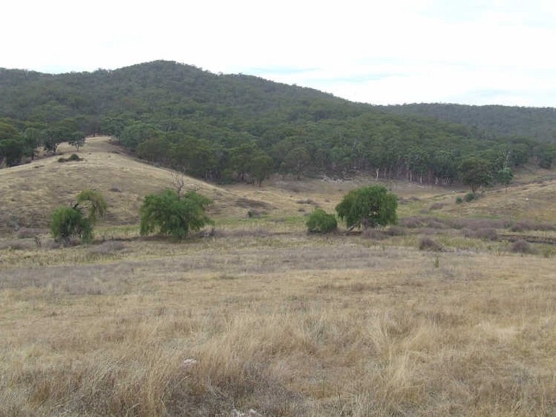 Rocky Water Hole Road, Peelwood NSW 2583