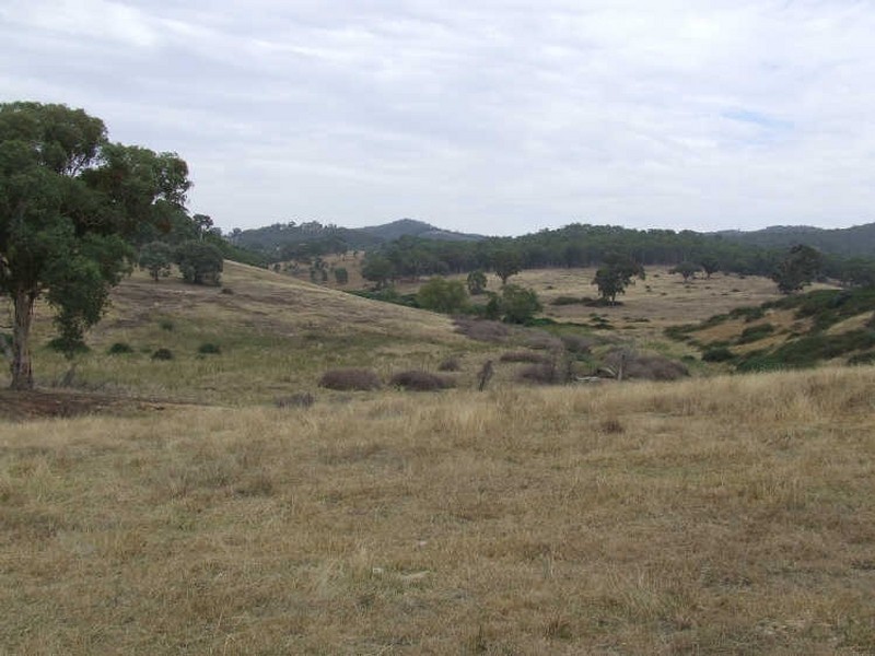 Rocky Water Hole Road, Peelwood NSW 2583