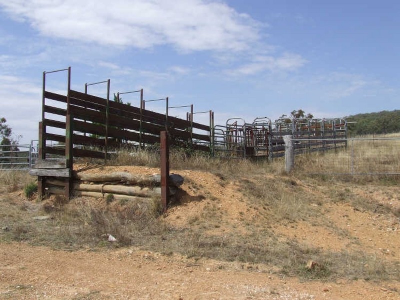 Rocky Water Hole Road, Peelwood NSW 2583
