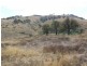 Rocky Water Hole Road, Peelwood NSW 2583