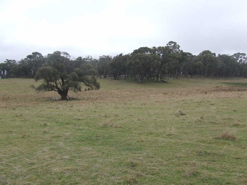 Lot 1-1122 Golspie Road, Taralga NSW 2580