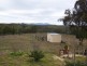 556 Cookanulla Road, Braidwood NSW 2622