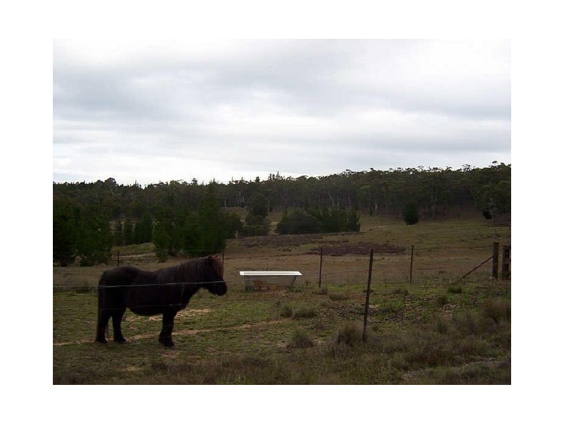 556 Cookanulla Road, Braidwood NSW 2622