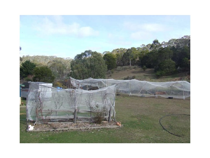 Lot 44 Nerriga Road, Tomboye, Nerriga NSW 2622