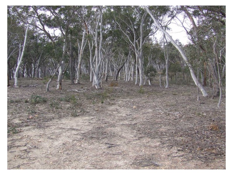 321 Winfarthing Road, Marulan NSW 2579