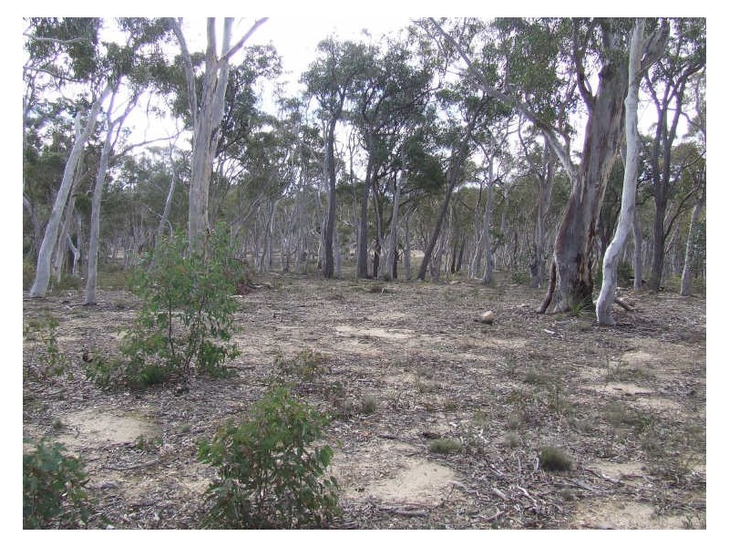 321 Winfarthing Road, Marulan NSW 2579