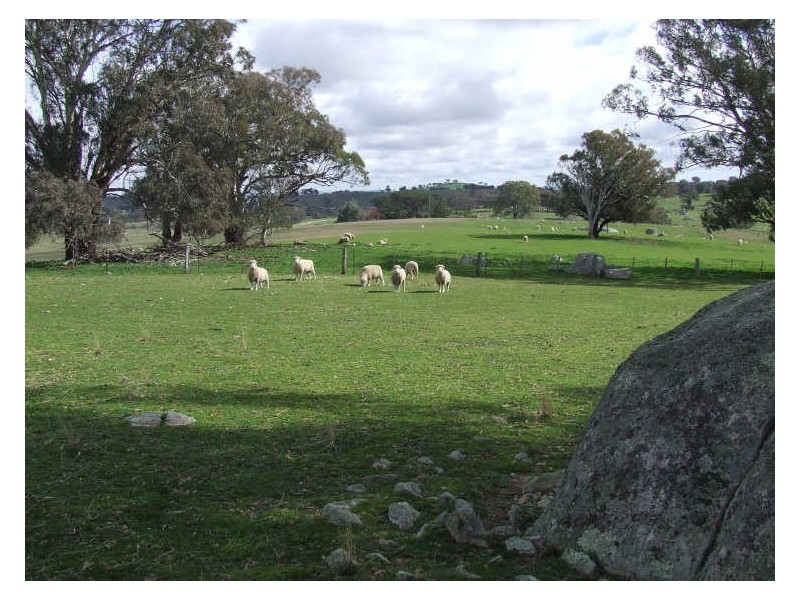 827 Jerrara Road, Crookwell NSW 2583