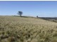 Lot 108 Newfoundland Road, Taralga NSW 2580