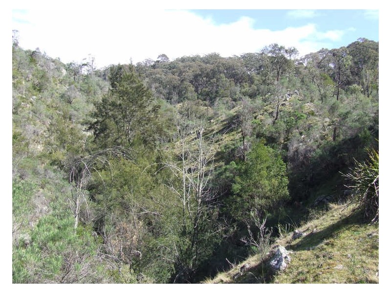 Lot 192 Long Gully Rd, Taralga NSW 2580