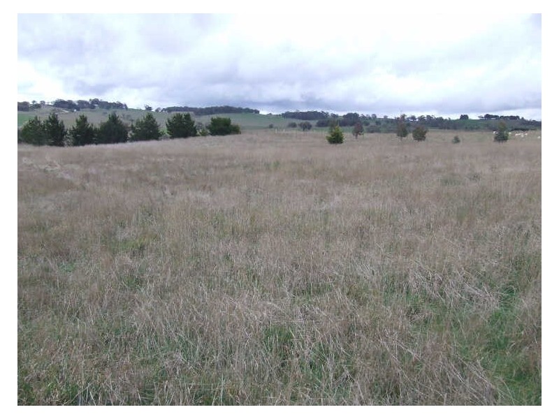 63 Hewitts Lane, Grabben Gullen NSW 2583