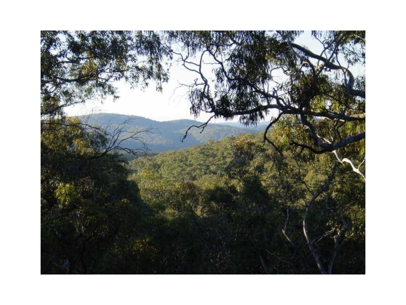 769 Bannaby Road, Taralga NSW 2580