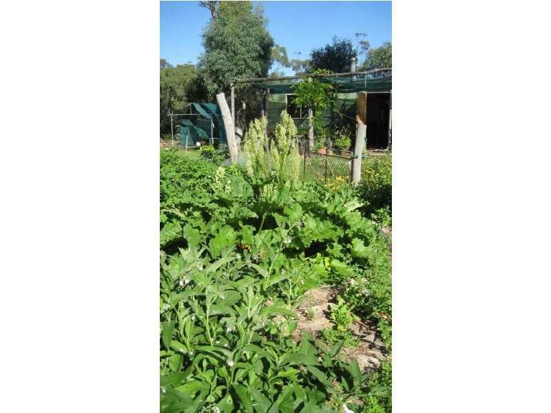 769 Bannaby Road, Taralga NSW 2580