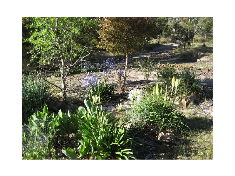 769 Bannaby Road, Taralga NSW 2580