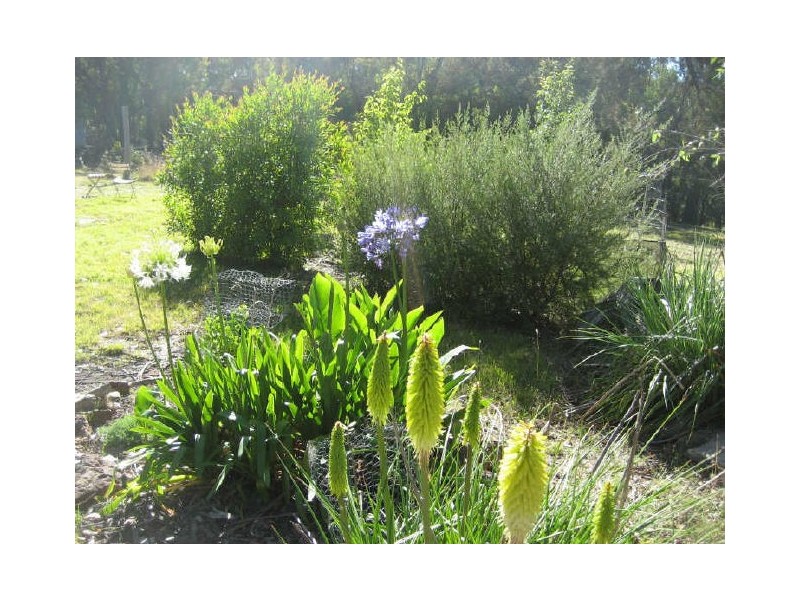 769 Bannaby Road, Taralga NSW 2580