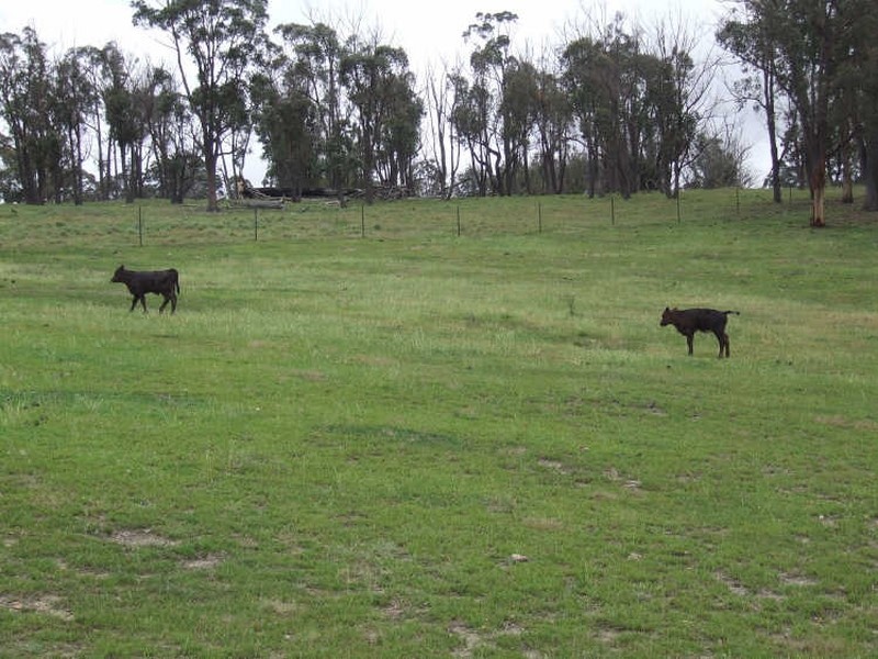 4875 Oallen Ford Road, Bungonia NSW 2580