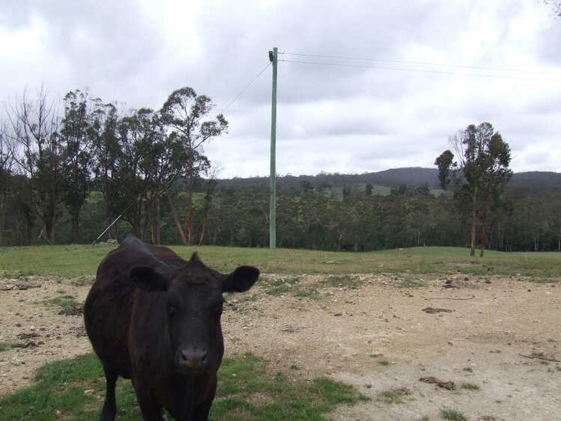 4875 Oallen Ford Road, Bungonia NSW 2580