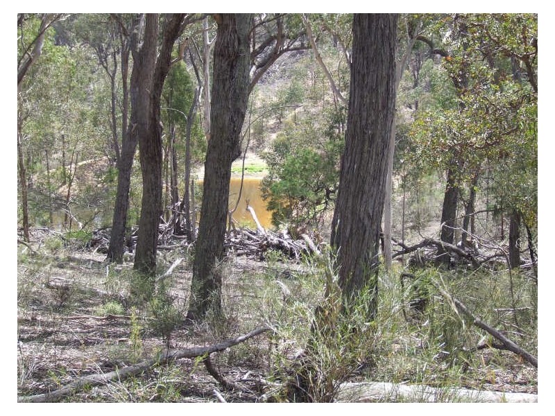 1355 Spa Road, Windellama NSW 2580