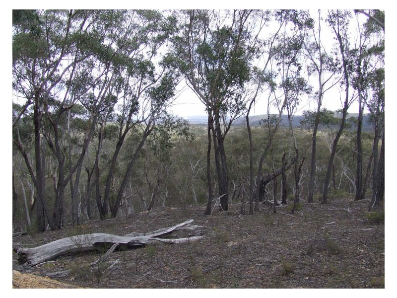 1355 Spa Road, Windellama NSW 2580