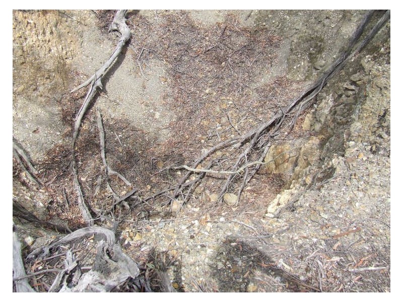 1355 Spa Road, Windellama NSW 2580