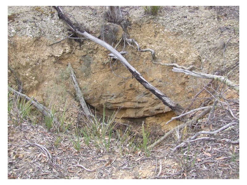 1355 Spa Road, Windellama NSW 2580