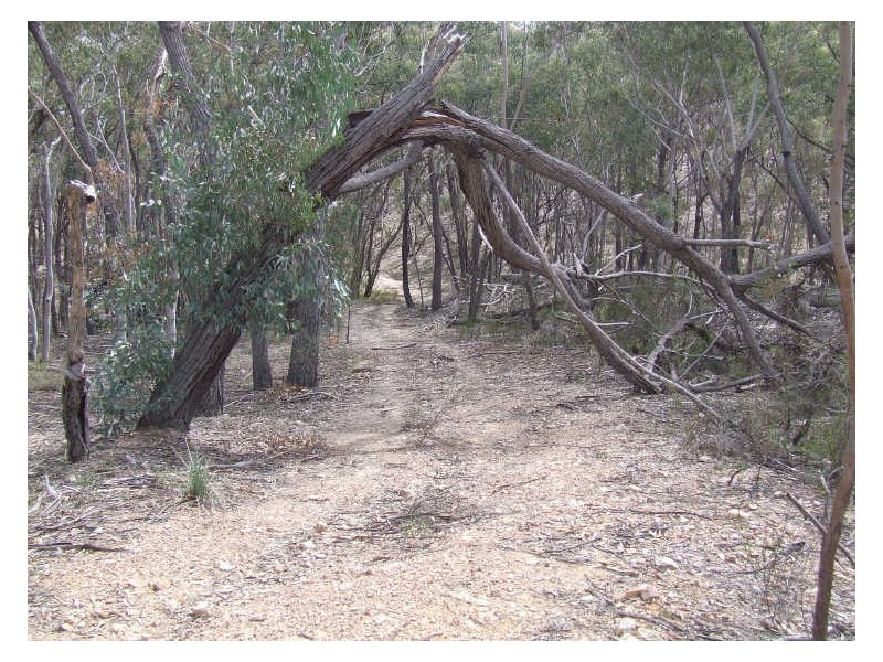 1355 Spa Road, Windellama NSW 2580